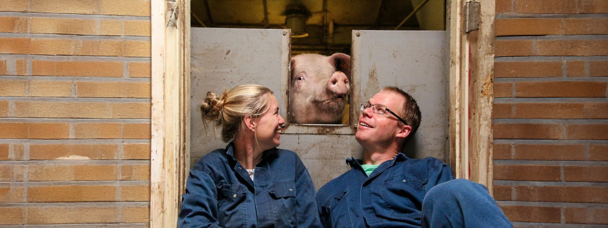 Brood op de Plank: Tom Geijsel